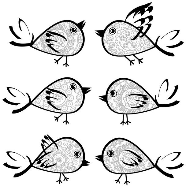 Aves con dibujos
 - Vector, Imagen