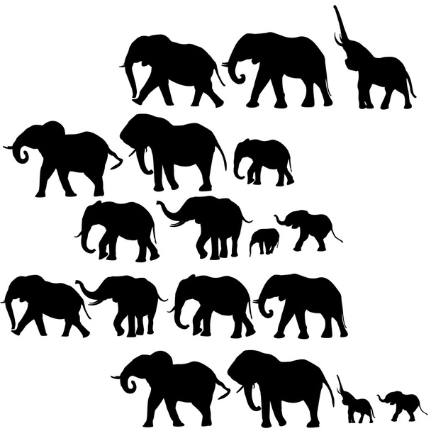 Sfondo con elefanti
 - Vettoriali, immagini