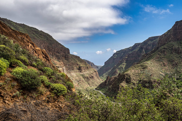 Hiking from Barranco de Guayadeque to Caldera de los Marteles, a volcanic area with dry fields at the bottom, Gran Canaria, Canary Island, Spain, Europe - 写真・画像