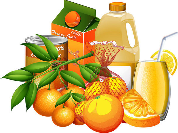Set of orange products on white background illustration - Вектор,изображение