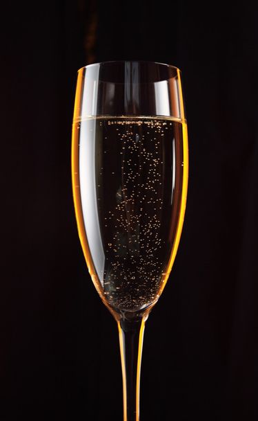 Champagne - Фото, изображение