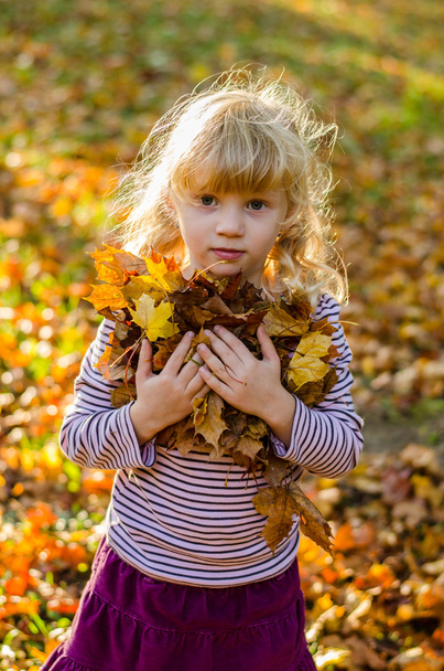 blond girl with autumn leaves - Fotoğraf, Görsel