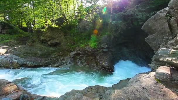 hegyi patak az erdőben - Felvétel, videó