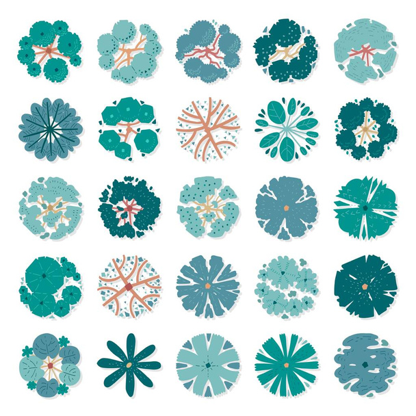 Hand drawn vector set of top view trees. - Vettoriali, immagini