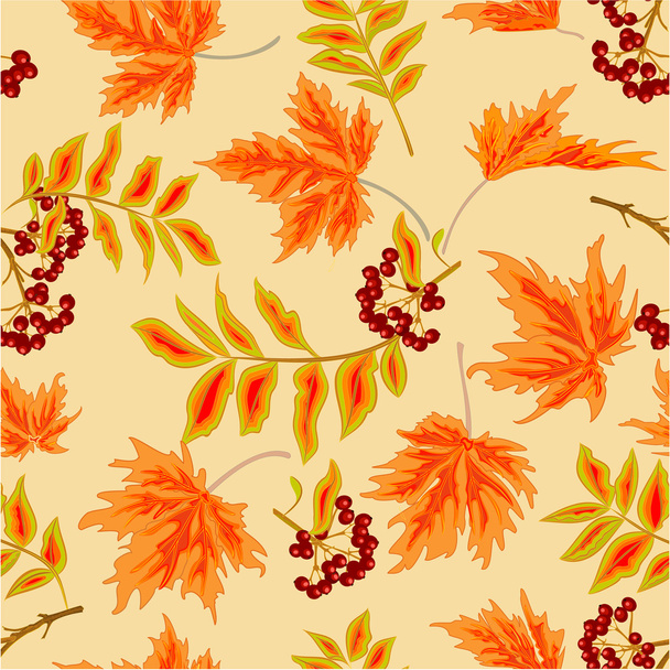 Textura inconsútil rowanberry y hojas de arce vector otoño
 - Vector, imagen
