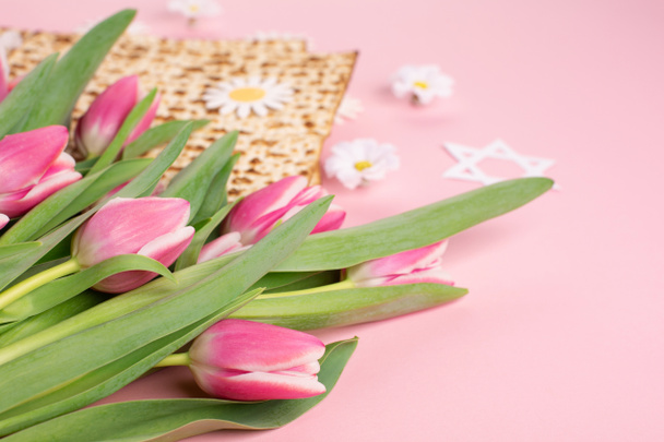 Żydowskie święto Koncepcja karty okolicznościowej Pascha z matą, orzechami, tulipanem i kwiatami stokrotki na różowym stole. Seder Pesach wiosenne tło wakacyjne, przestrzeń do kopiowania. - Zdjęcie, obraz