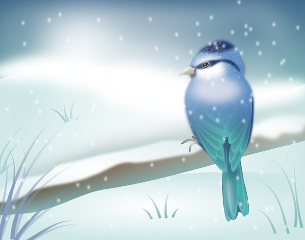 Niebieski ptak w zimowy krajobraz - Zdjęcie, obraz