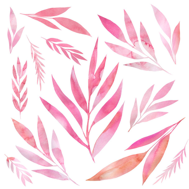 Éléments abstraits de feuilles roses sur fond blanc isolé, illustration aquarelle, dessin à la main - Photo, image