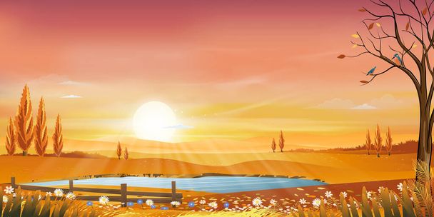 Autunno paesaggio rurale in luce serale con tramonto, giallo, rosa, sfondo cielo arancione, Vettore Cartoni animati stagione autunnale in campagna con albero della foresta e campo di erba con alba, sfondo banner naturale  - Vettoriali, immagini