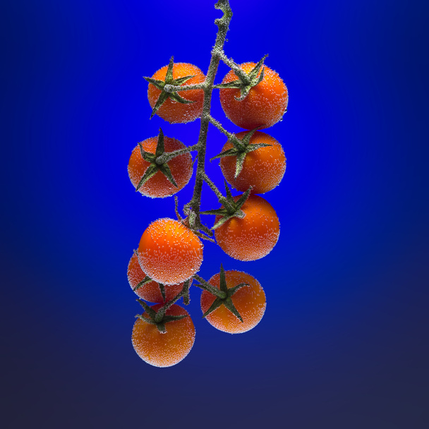 Red tomato into water - Φωτογραφία, εικόνα