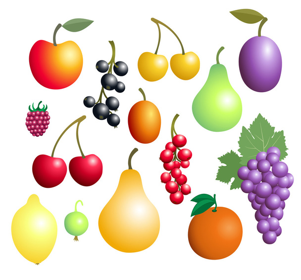 Coleta de frutas e bagas
 - Vetor, Imagem