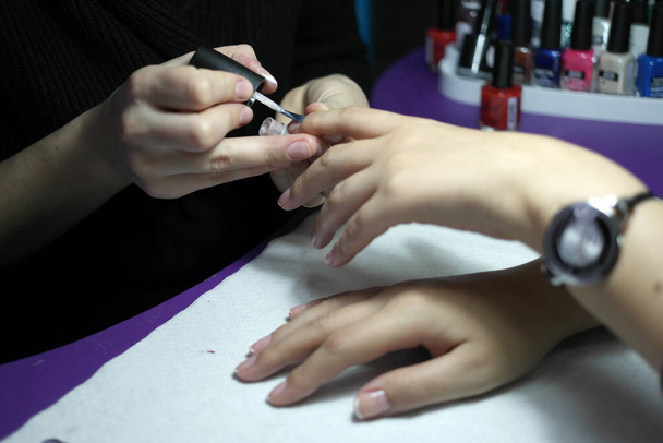 manicurist makes a manicure   - Foto, afbeelding
