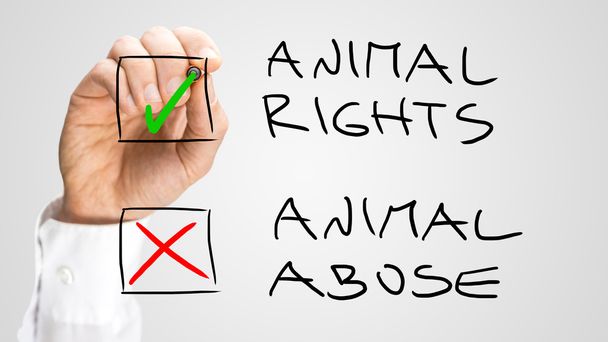 Проверка коробок для защиты прав животных и злоупотреблений
 - Фото, изображение