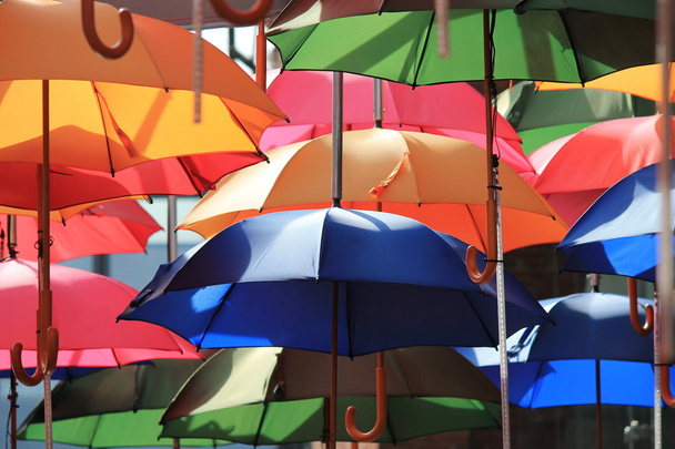 Regenschirme - Foto, Bild