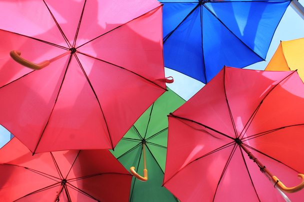 ομπρέλες - Φωτογραφία, εικόνα