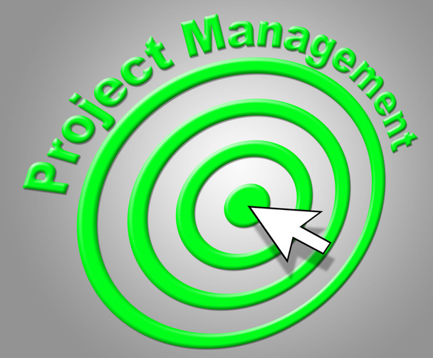 Zarządzanie projektami pokazuje projektów przedsiębiorstw i administracji - Zdjęcie, obraz