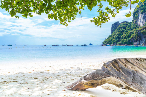 The beautiful beach and blue sky in Similan islands, Thailand.  - Photo, Image