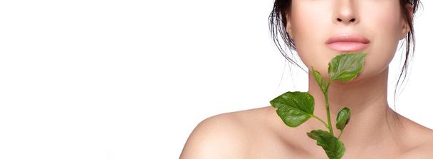 Natural beauty with green leaves Beautiful woman with flawless skin and nude makeup on her hydrated and glowing skin. Natural cosmetics and skincare concept. isolated on white with copy space - Foto, imagen