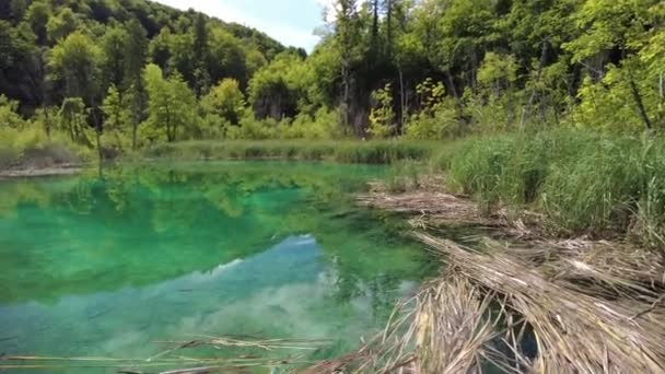 Gradinsko Jezero Gölü Plitvice Gölünde güneş ışığı - Video, Çekim