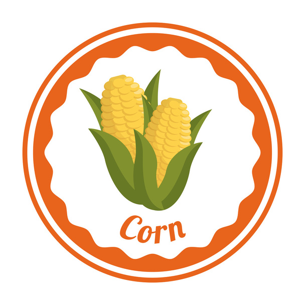 kukuřice design  - Vektor, obrázek