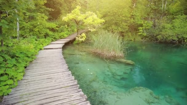 passeggiare nel lago di Milino Jezero - Filmati, video