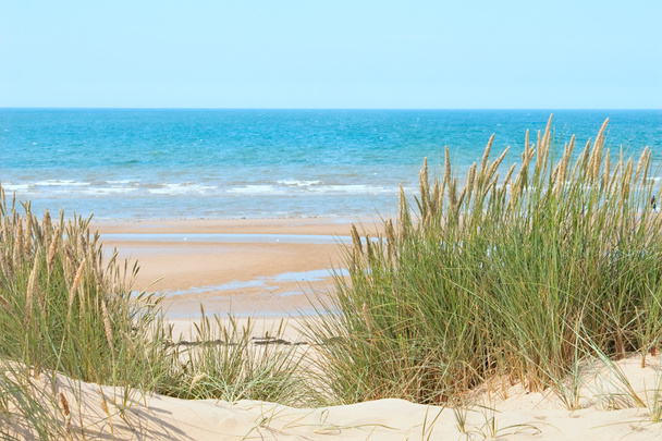 Praia de areia em Formby, Reino Unido
 - Foto, Imagem