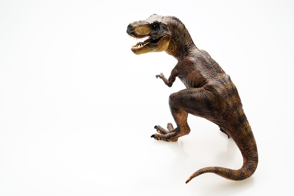 Ізольований динозавр на білому тлі
 - Фото, зображення
