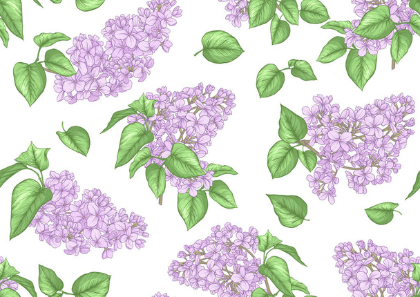 Seamless background with lilac flowers. Vector illustration - Vektori, kuva