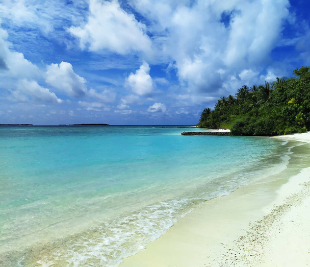 Maledivy, opuštěná pláž s bílým pískem a stromy v blízkosti tyrkysového oceánu. - Fotografie, Obrázek
