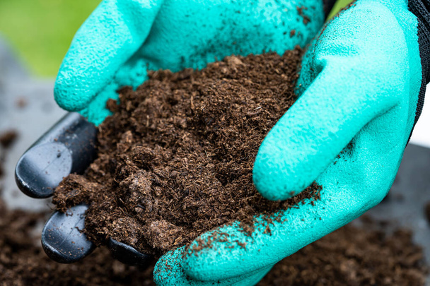 Kézi gazdaság tőzegmoha szerves anyag javítja a talajt a mezőgazdaság ökológiai üzem termesztés, ökológia koncepció. - Fotó, kép