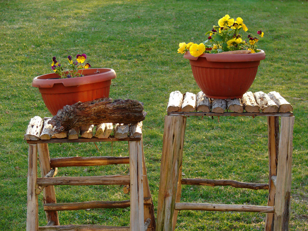 Pots with flowers - Photo, Image