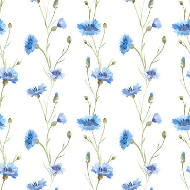 A picture of watercolor on a white background. Seamless pattern of cornflowers. - Foto, afbeelding