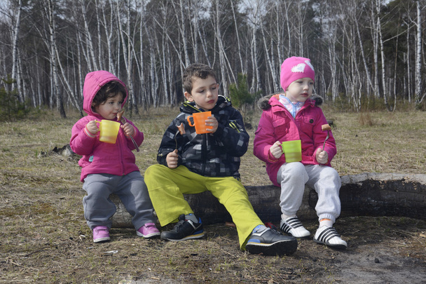 Crianças na floresta sentadas em um tronco e comer salsichas e dri
 - Foto, Imagem