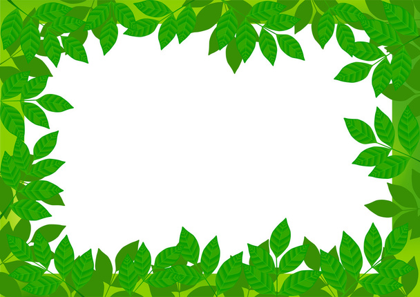 Весна leaf кадру
 - Вектор, зображення