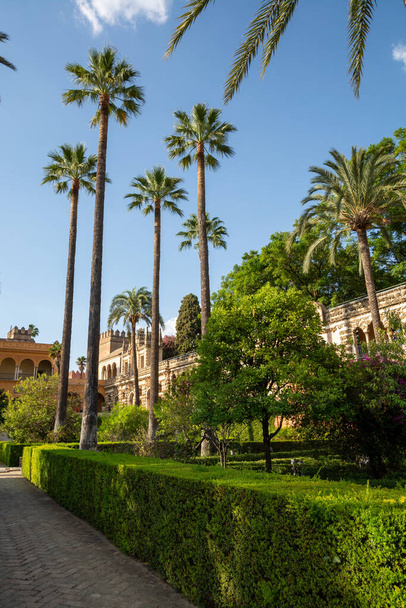Royal palace green gardens in Mudejar style. Old historical Andalusian town Seville, Spain. Unesco site. - Foto, Bild