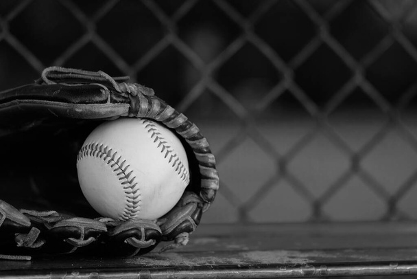Old retro black and white baseball background with vintage ball and glove - Photo, Image