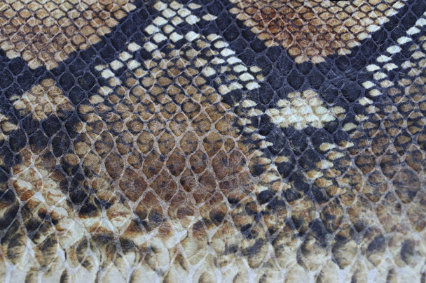 fond de peau de serpent pour accessoires en cuir
 - Photo, image