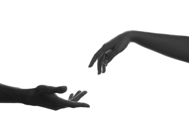 Silhouette of male and female hands on white background - Foto, immagini