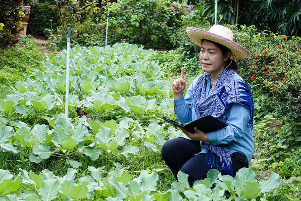 Азиатская женщина-садовница держит смарт-планшет для осмотра роста и болезней овощей, выращенных в огороде. Концепция: Использование беспроводных технологий для исследования, контроля и управления качеством сельского хозяйства. - Фото, изображение