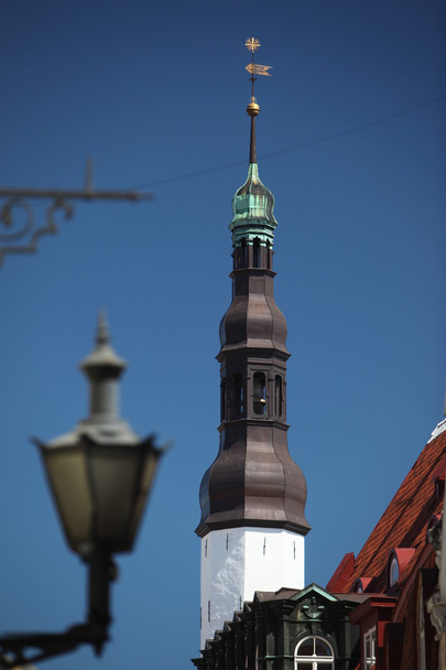 Evropě Estonsko Tallinn  - Fotografie, Obrázek