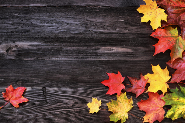 Autumn background in vintage style for damaged boards with colored maple leaves - 写真・画像