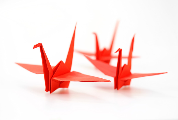 Traditional Japanese origami crane made of red paper over white  - Foto, immagini