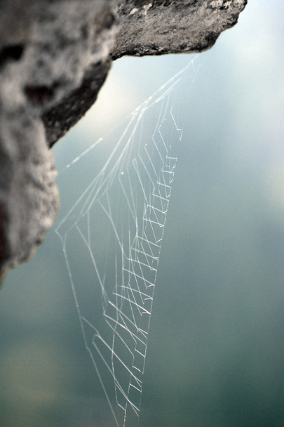 Aranha web design detalhe na pedra
 - Foto, Imagem