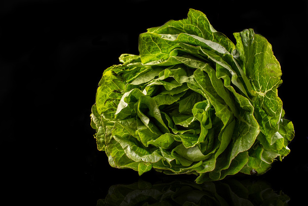 Fresh green salad lettuce isolated on black background - Photo, image
