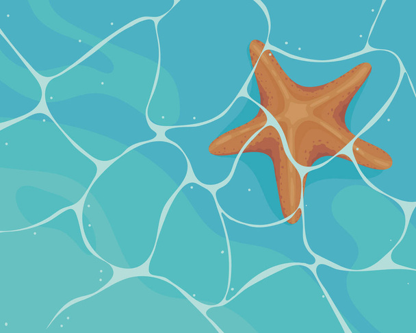 étoile de mer dans la mer - Vecteur, image