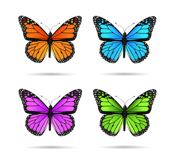 Butterflies - Vector, Image