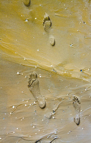 footprint - Photo, Image