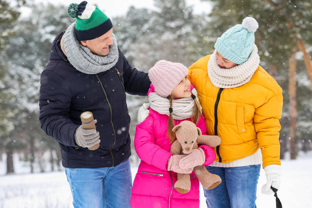Malá holčička s hračkou a její prarodiče na zasněžené zimní den - Fotografie, Obrázek