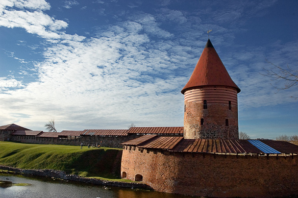 Zamek w Kownie - Zdjęcie, obraz