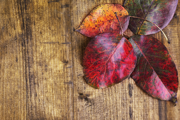 Leaves on brown wooden background - Fotó, kép